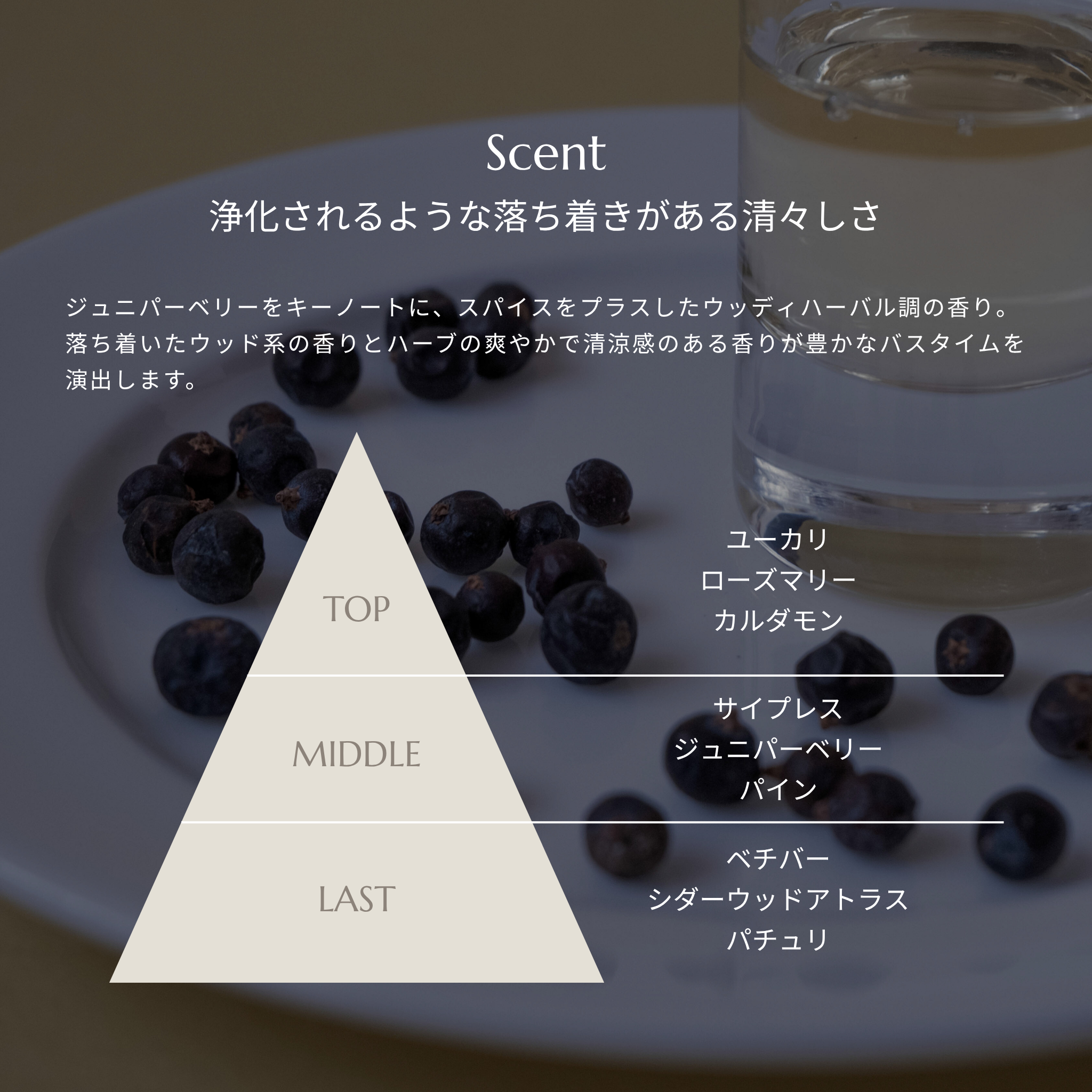 AOMAスキャルプケアセット(10%OFF)