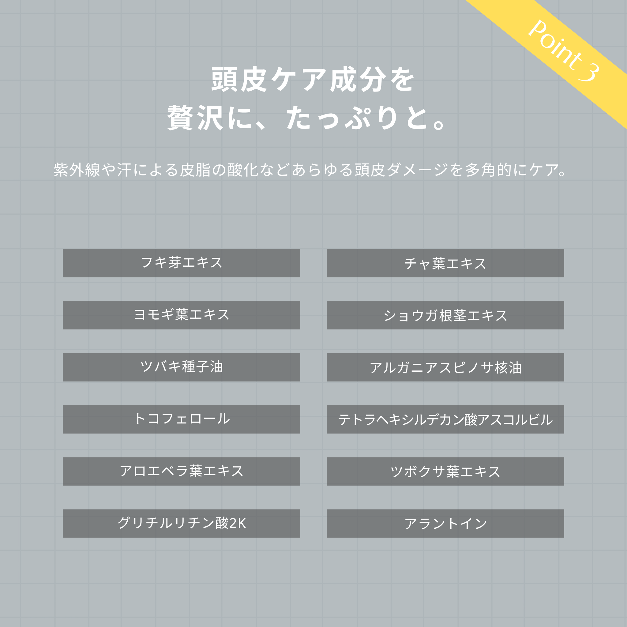 AOMA スキャルプクレンジングスクラブ