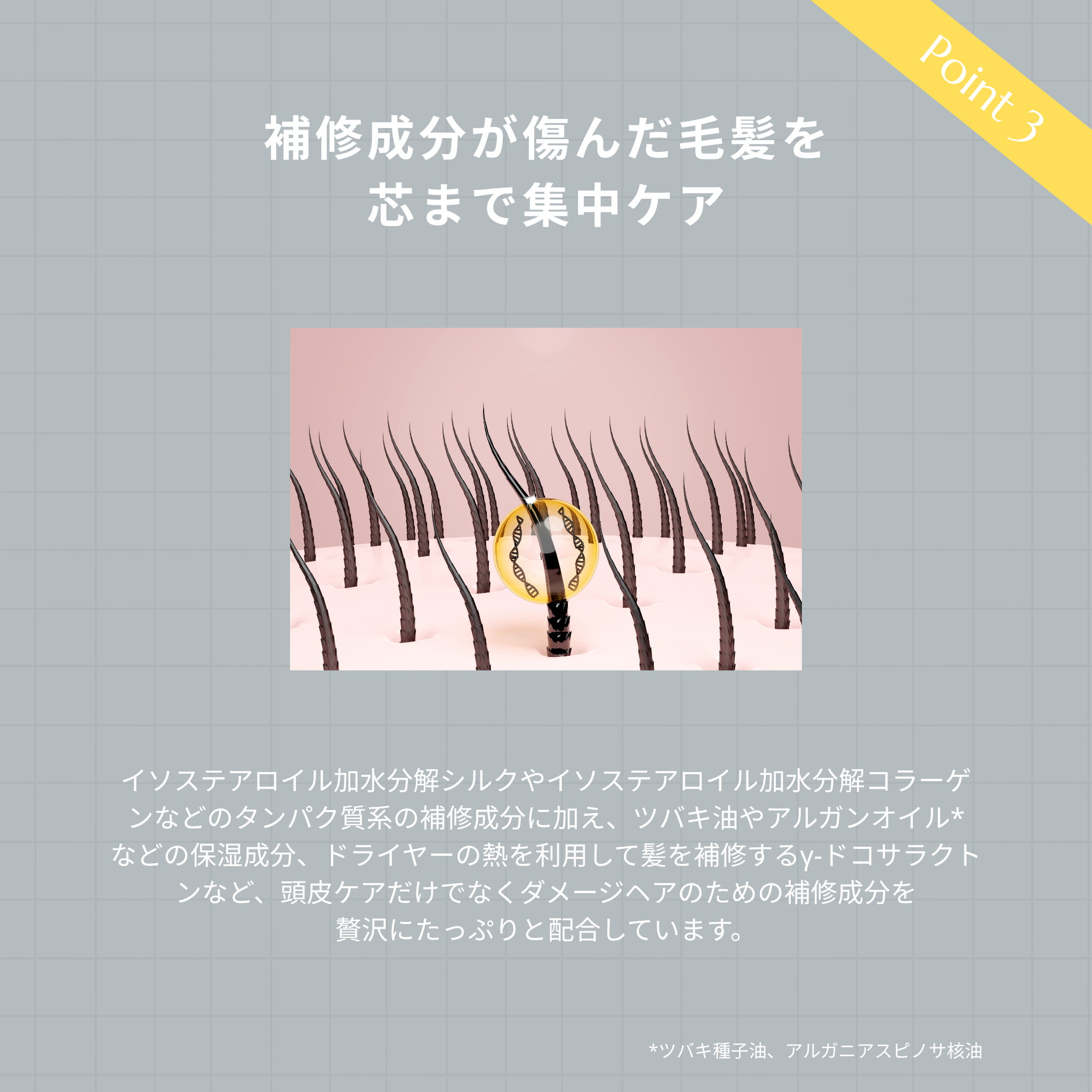 AOMA スキャルプ&ヘアトリートメント