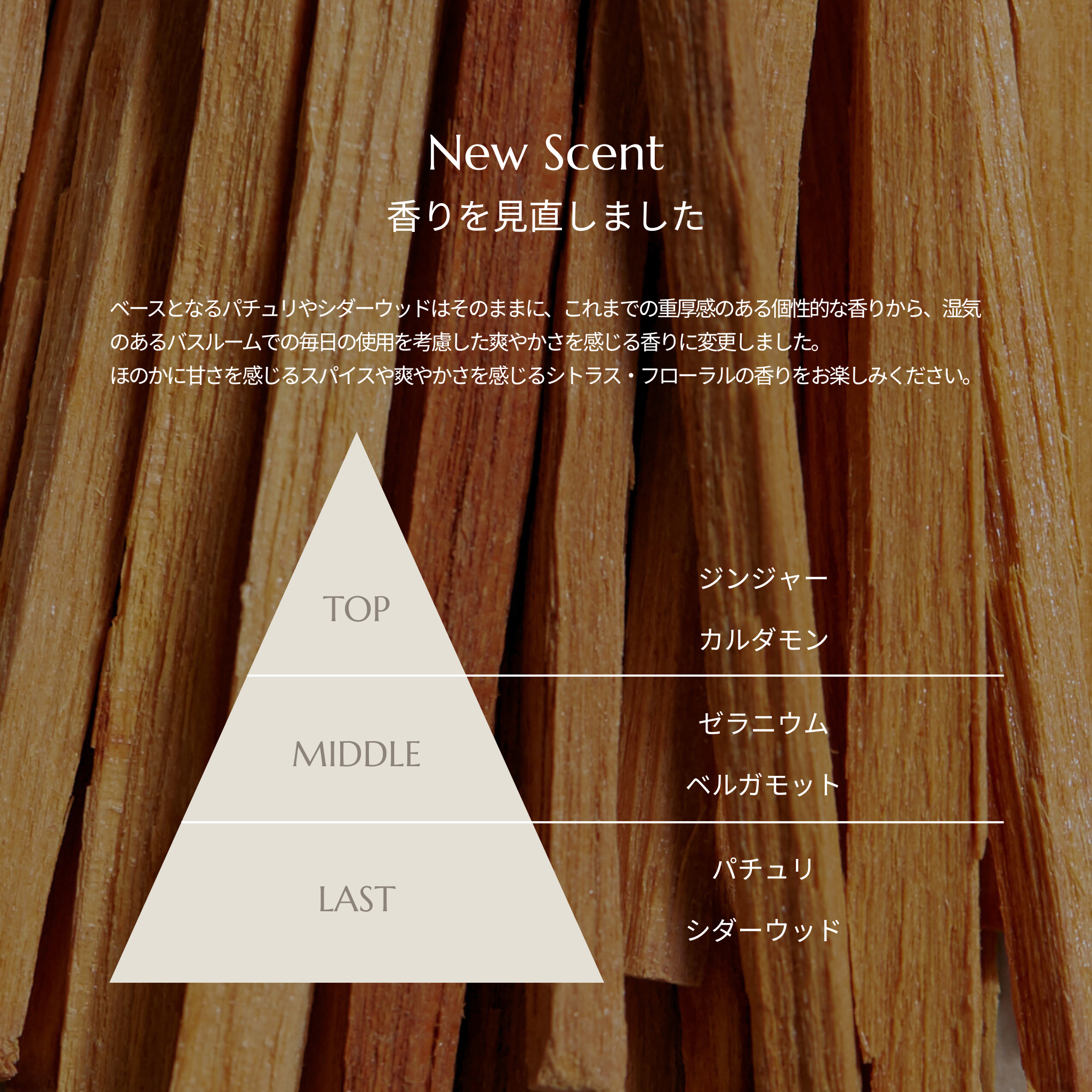 AOMA ヘアクレンジングクリーム